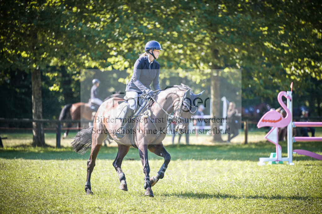 DOS_0347 | Entdecke hochwertige Reitturnierfotos von Foto Oger. Professionell, emotional und authentisch – jetzt Lieblingsmomente im Shop bestellen.Deutschlandweite Turnierfotografie. - Realisiert mit Pictrs.com