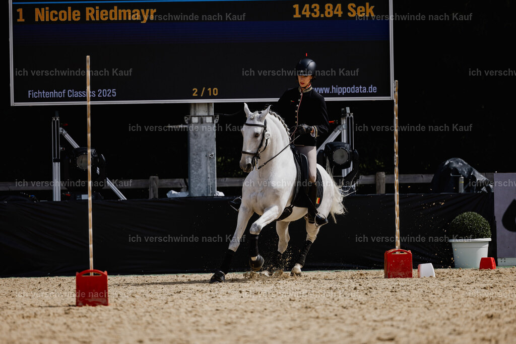 Virginie12FHC2025-20033 | working equitationturnier fotograf videograf stoibphotography marixx film working equitation deutschland reitsport turnierfotografie eventfotografie equestrian events