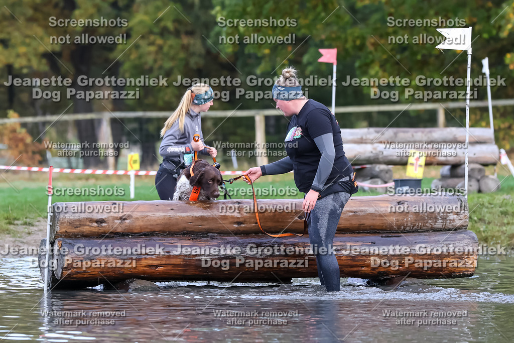 Dog Paparazzi - Strongdog 10-25-6700 | Dog Paparazzi Jeanette Grottendiek Fotografie & Videografie - Realisiert mit Pictrs.com