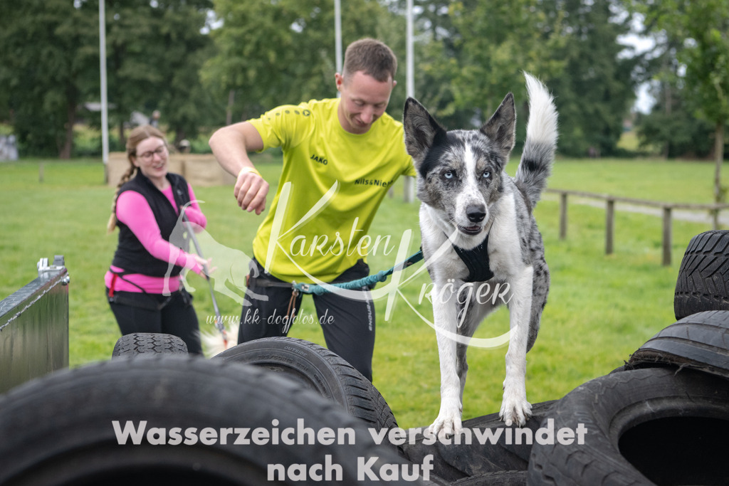 1212_ZZ94850 | kk-dogfotos