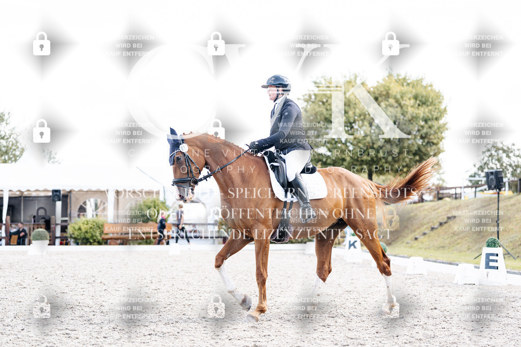 CK902470 | Turnierfotografie Pferdefotografie Trier Rheinland-Pfalz Pferdesport Reitsport Tierfotografie Sportfotografie Pferdevideo Pferdevideografie Equestrianvideography equestrianphotography  - Realisiert mit Pictrs.com