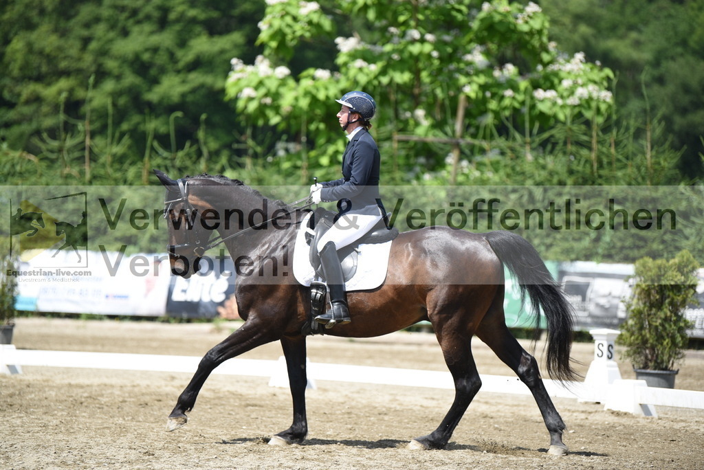 DSC_8964 | equestrian-live-com