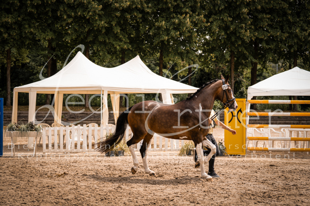 3.Fr00185 | Leoni Ertmer Photography - Realisiert mit Pictrs.com