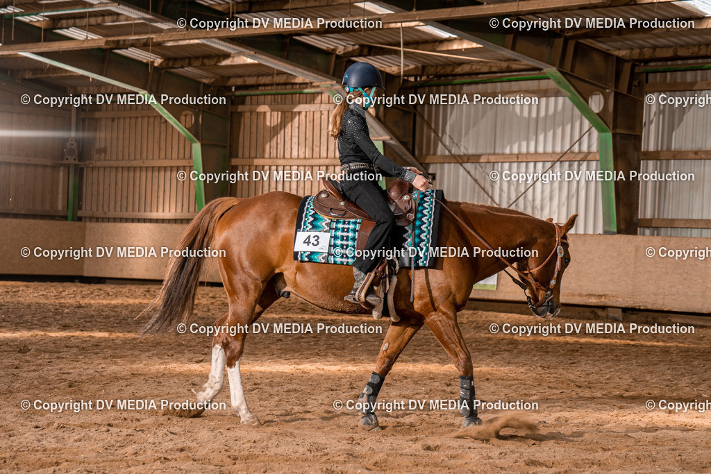 BAL02186 | dv-media-shop - Realisiert mit Pictrs.com