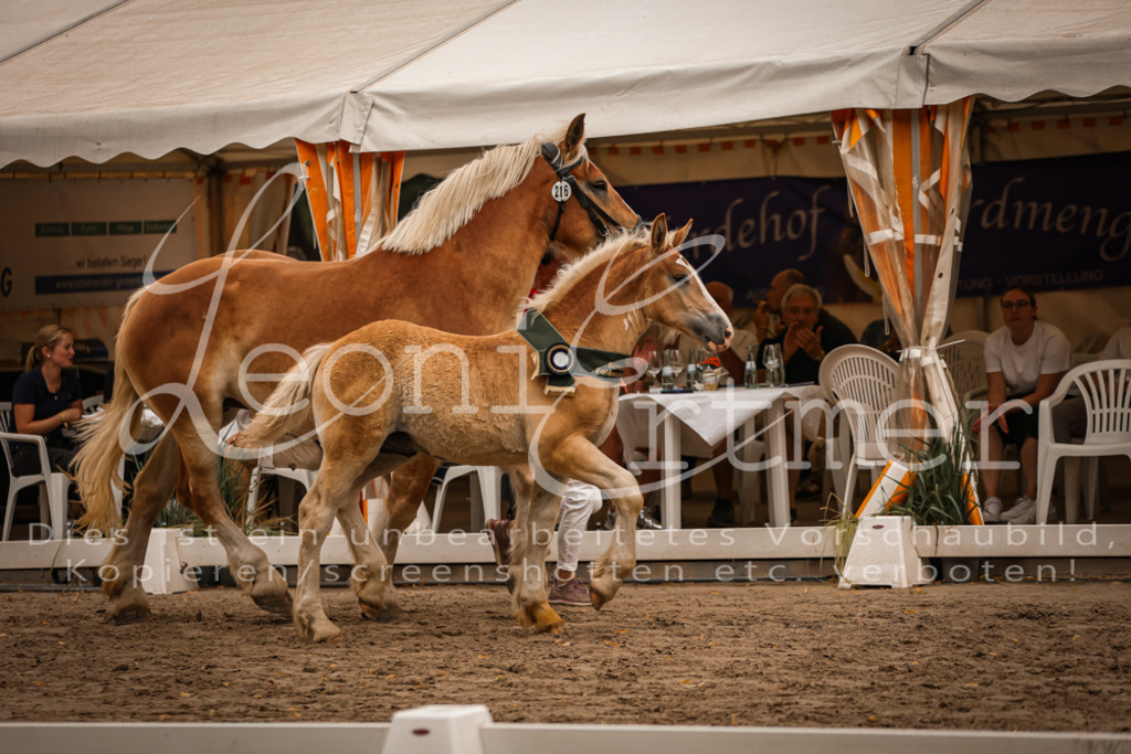 SaHF00158 | Leoni Ertmer Photography - Realisiert mit Pictrs.com