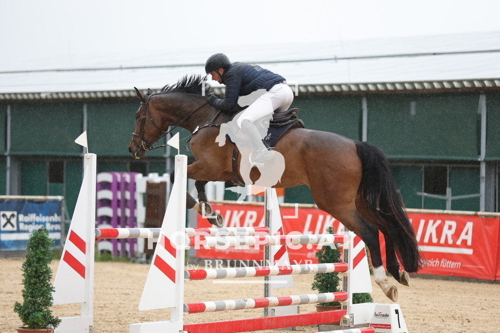 0P6A2139 | Willkommen bei Brunnmayr - Design & Fotografie – Ihrem Spezialisten für Reitturniere und Pferdeveranstaltungen in Oberösterreich, Salzburg und Bayern! Seit über 17 Jahren sind wir leidenschaftlich dabei.
