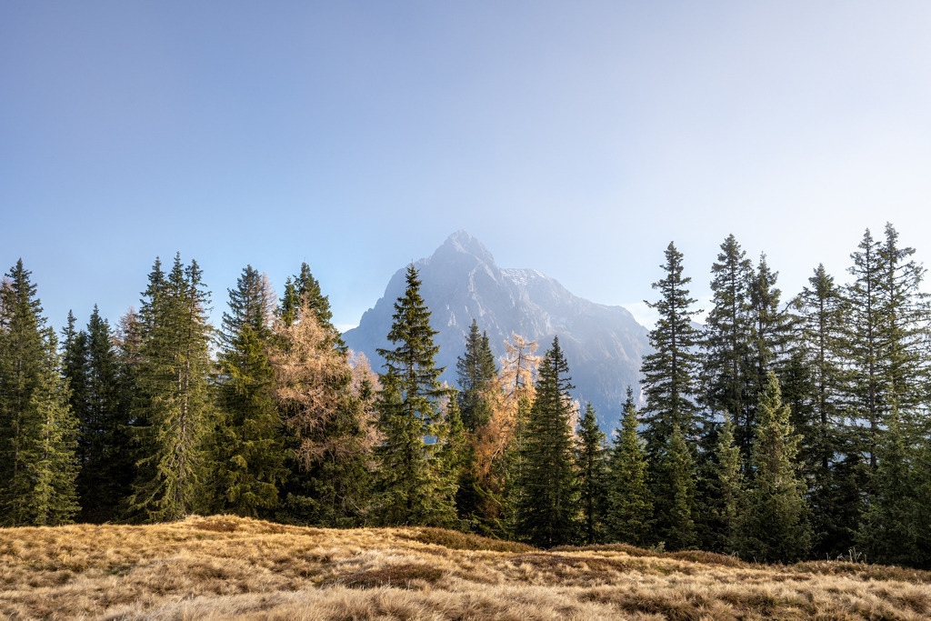 Herbstwald mit Ödstein | walter-wagner-fotografie