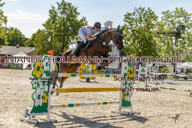26-7-25 SPR M+-10 | mandyhollmannphotographie