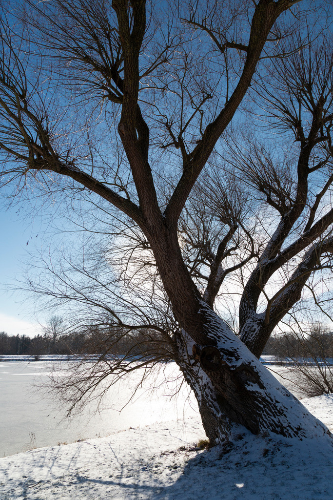 _ 3382_WINTER26_8313 | WInteraufnahmen Loosdorf 2026