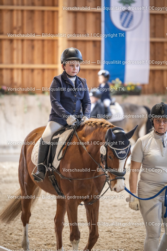 _D5A5262 | Emotionale Pferde- & People-Fotografie rund um Heidelberg, Leimen & Umgebung. Natürliche Fotos von Pferd, Mensch & Familie. Jetzt Termin sichern!