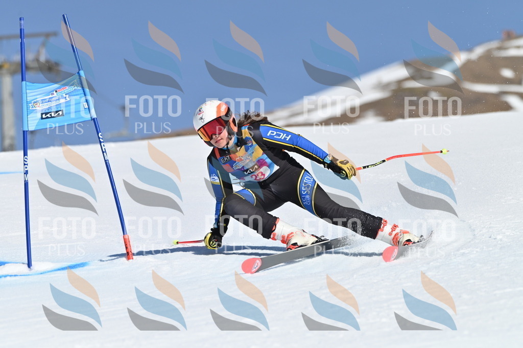 BGV_8003 | holidayphoto