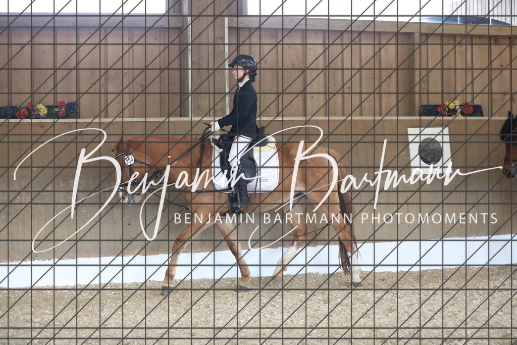 AZ2A9024 | Benjamin Bartmann Photomoments