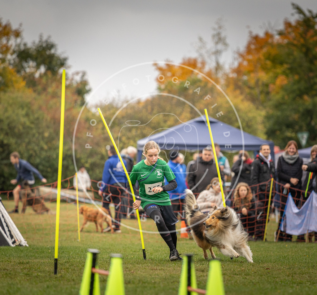 Pfotenfotografie_DV3A6609 | Hundefotografie, Tierfotograf, Pfotenfotografie, Fotoshooting Hund, Hunde Portrait, Hundesport, Hundeportraits, Heideshooting, Hunde, Sportfotograf, Hundefotograf, Turnierhundsport, THS,  - Realisiert mit Pictrs.com