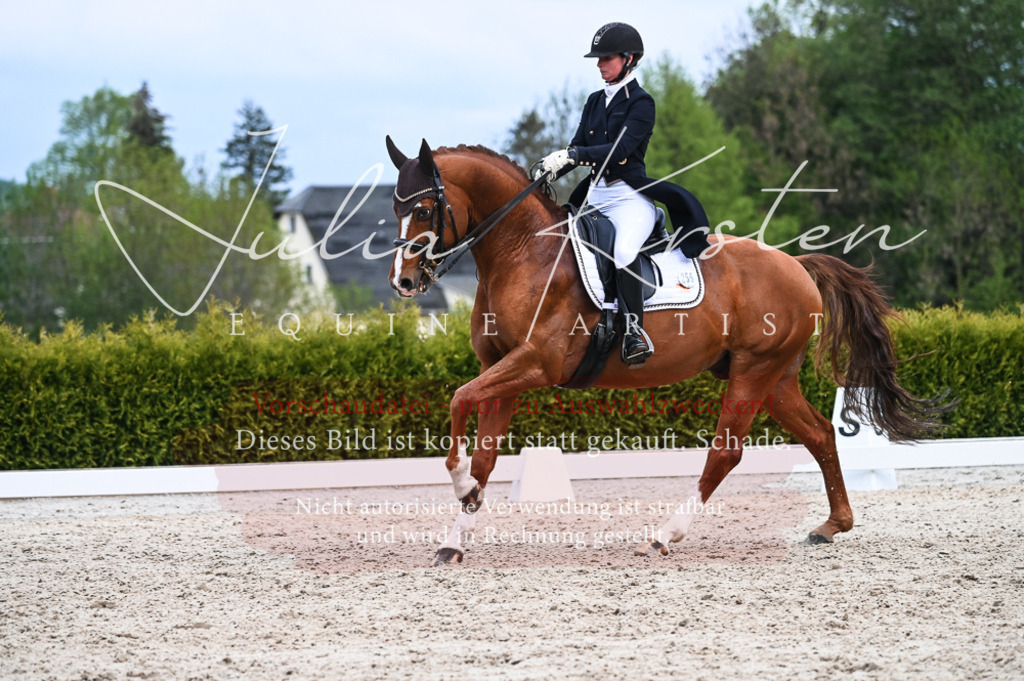 20230513_JK-Röhrsdorf-13-657 | Pferde- und Turnierfotografie in Westsachsen. Pferdeportraits, Auftragszeichnungen und intuitive Kunst.