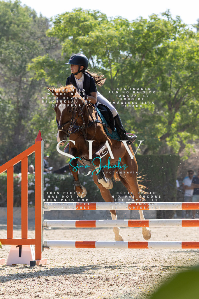 IMG_5466 | s-jay-photography - Realisiert mit Pictrs.com