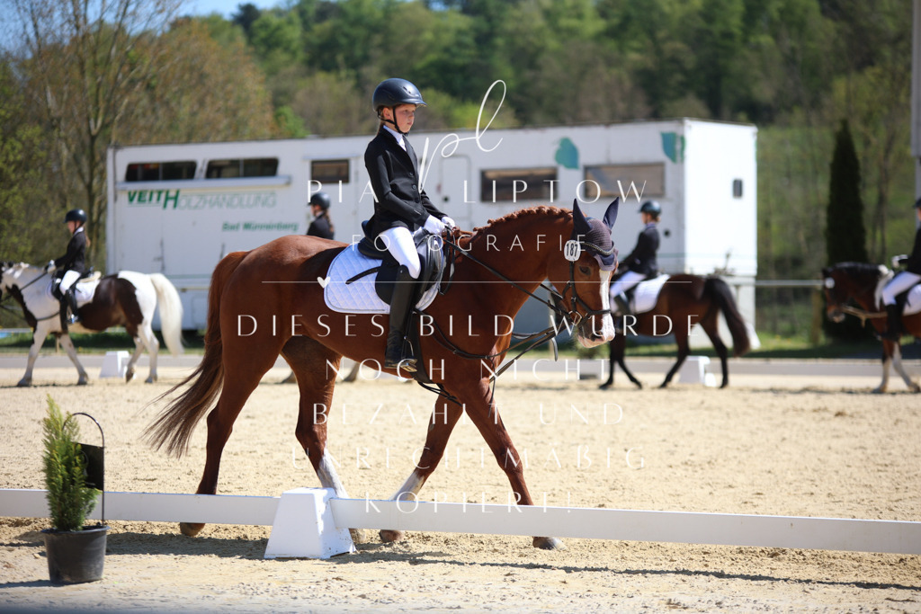 IMGT1178 | pl-fotografie