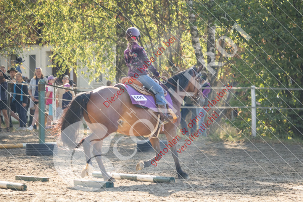 IMG_6417 | Sport-, Event- und Tierfotos in Profiqualität. Einfach auswählen, bestellen und herunterladen. Dein Moment – perfekt festgehalten.