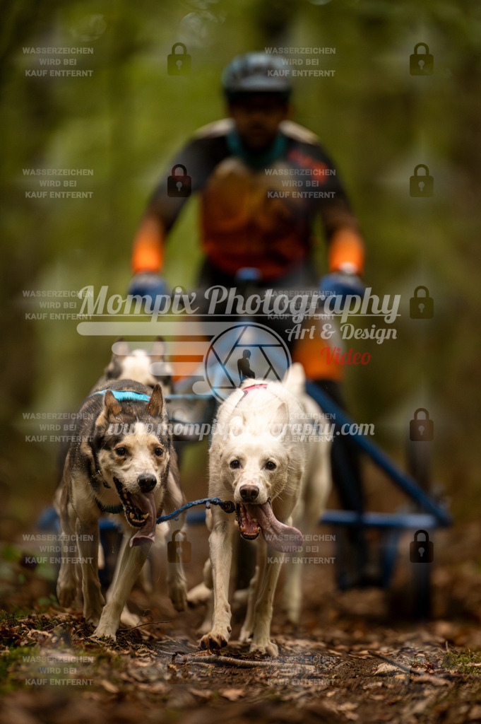 TSB_2023_E1_Kart_Rig-11 | PayLife
