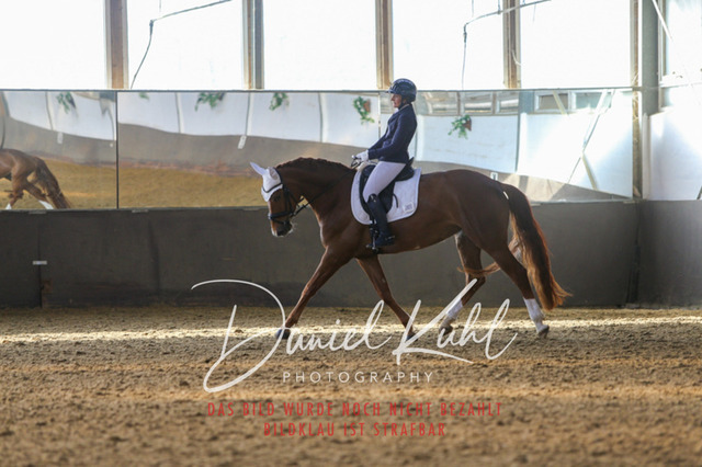 IMG_2142 | Turniersportfotografie; Pferdefotografie; Dressurfotografie