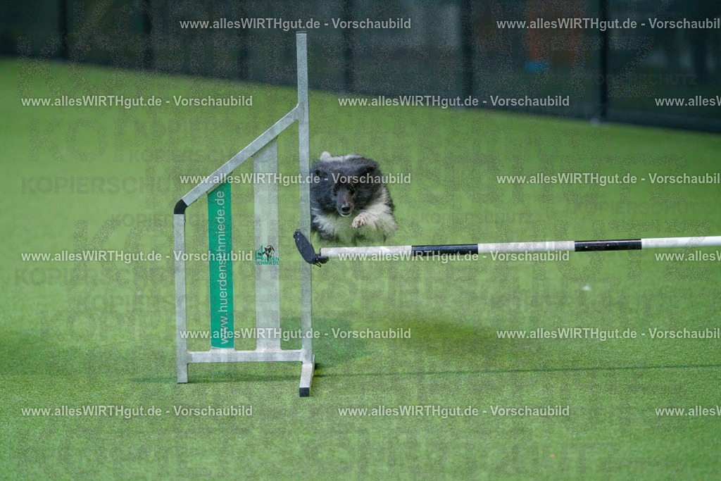 @allesWIRTHgut_Tierfotografie - www.allesWIRTHgut.de - 2604250957-7R509312 | Professionelle Tierfotografie in Mönchengladbach von Daniel Wirth (allesWIRTHgut). Liebevolle & natürliche Bilder von Hunden & Katzen für unvergessliche Erinnerungen.