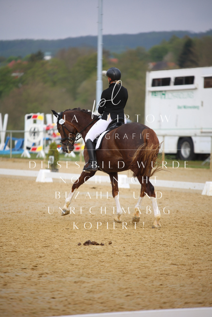 IMGT7751 | pl-fotografie