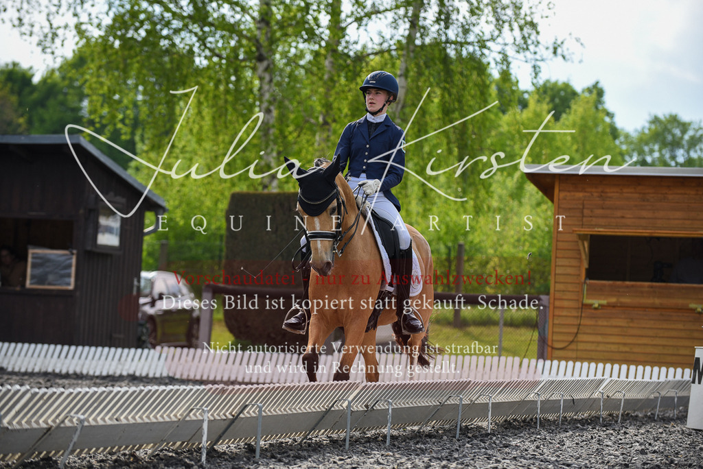 20230513_JK-Röhrsdorf-17-145 | Pferde- und Turnierfotografie in Westsachsen. Pferdeportraits, Auftragszeichnungen und intuitive Kunst.