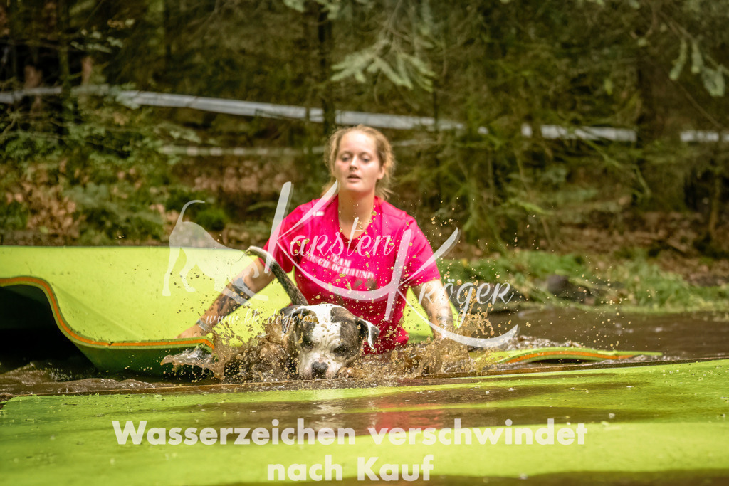 1426_ZZ92344-Bearbeitet | kk-dogfotos