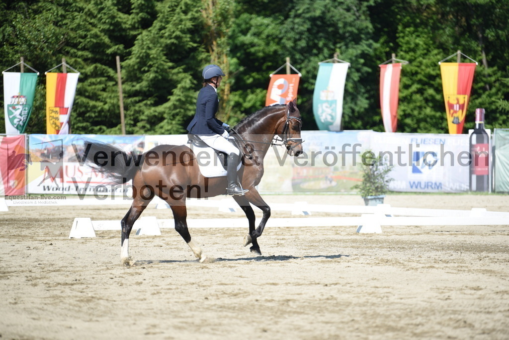 DSC_7784 | equestrian-live-com