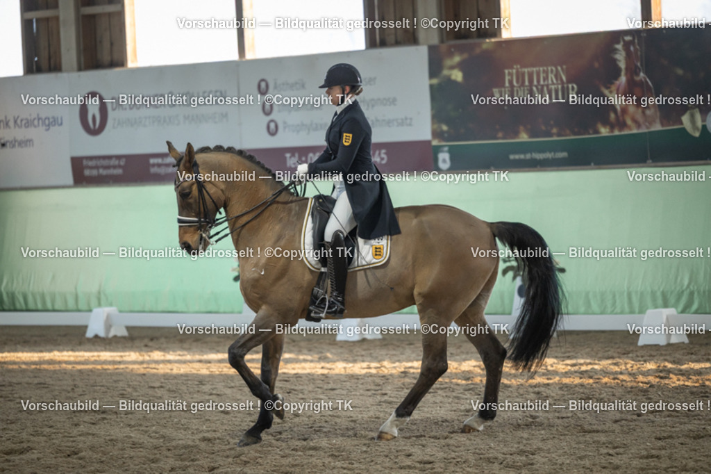 _D5A0898 | Emotionale Pferde- & People-Fotografie rund um Heidelberg, Leimen & Umgebung. Natürliche Fotos von Pferd, Mensch & Familie. Jetzt Termin sichern!