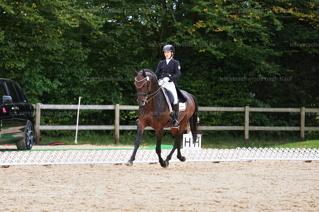 11-215-Dressur S___-Marixx-1747 | working equitationturnier fotograf videograf stoibphotography marixx film working equitation deutschland reitsport turnierfotografie eventfotografie equestrian events