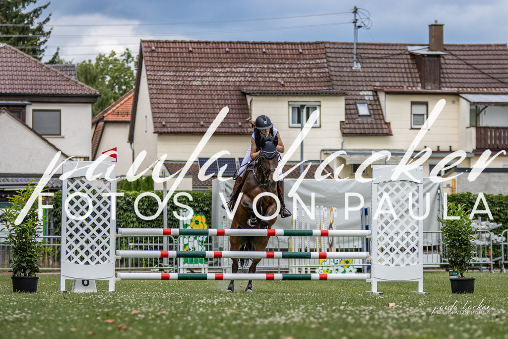 IMG_7478 | Erleben Sie dynamische Sport- und emotionale Tierfotografie in Süddeutschland mit Fotos von Paula. Spezialisiert auf Pferde- und Hundefotografie sowie Sportevents. Kontaktieren Sie mich für einzigartige und ausdrucksstarke Bilder Ihrer besonderen Momente.