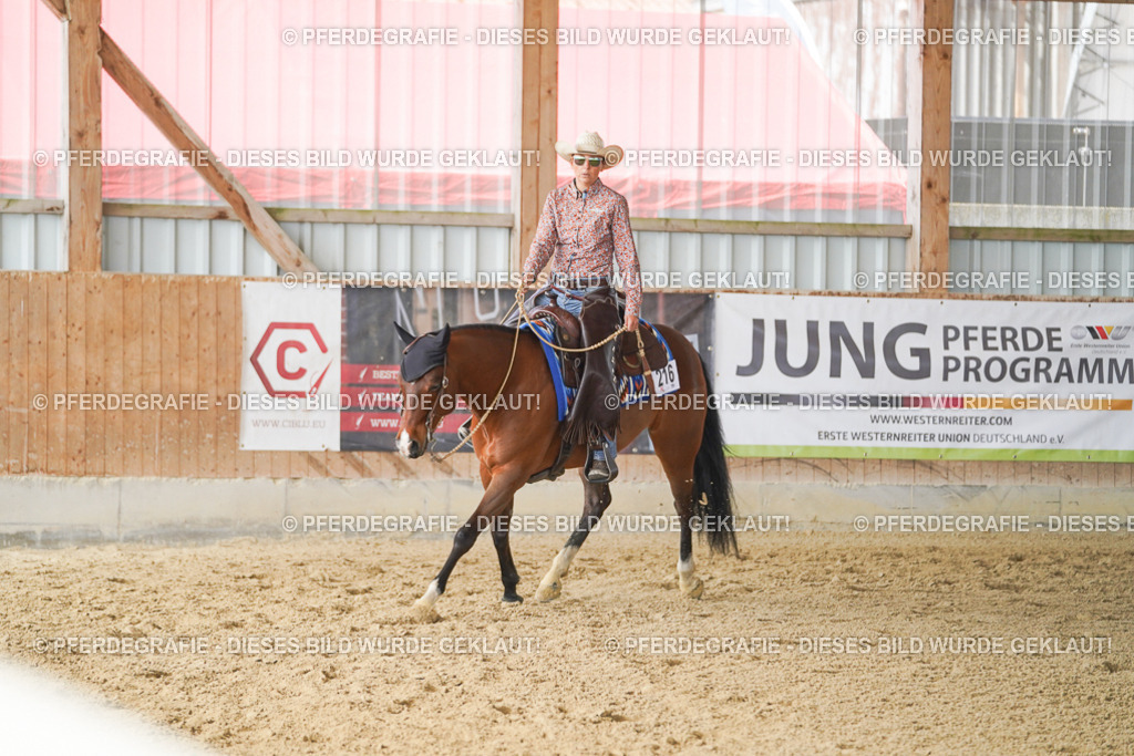 DSC01072 | Pferdegrafie