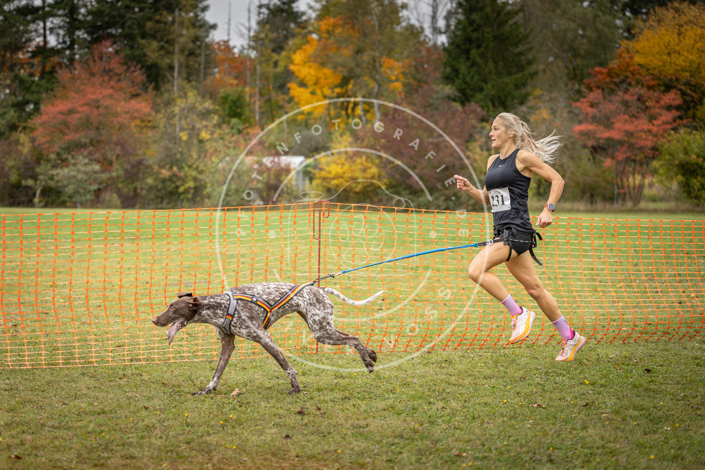 Pfotenfotografie_DV3A4488 | Hundefotografie, Tierfotograf, Pfotenfotografie, Fotoshooting Hund, Hunde Portrait, Hundesport, Hundeportraits, Heideshooting, Hunde, Sportfotograf, Hundefotograf, Turnierhundsport, THS,  - Realisiert mit Pictrs.com
