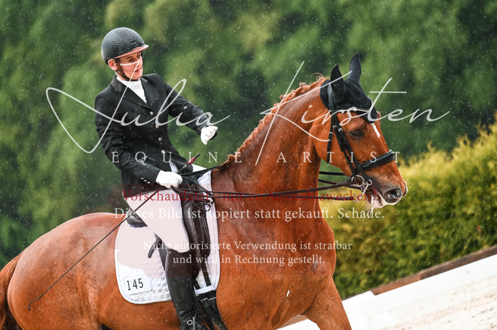 DSC_4447 | Pferde- und Turnierfotografie in Westsachsen. Pferdeportraits, Auftragszeichnungen und intuitive Kunst.