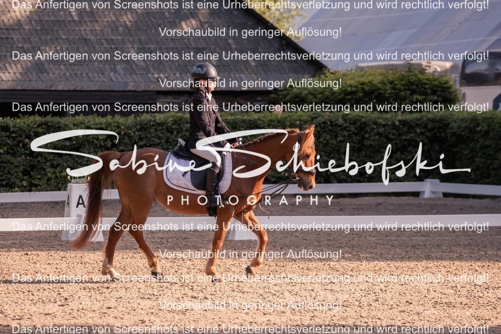 2025_05_31_DSCF2636 | People- und Tierfotografie, Imageaufnahmen, Veranstaltungsfotografie und Wandbilder aus der Natur ★ Made in Germany ✔️ Druck + Downloads ✔️ Naturfotografie in Top Qualität ★ schneller Versand, weltweite Lieferung! - Realisiert mit Pictrs.com