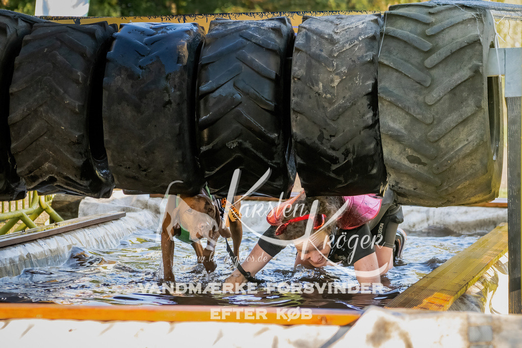 0950_ZZ91959 | kk-dogfotos