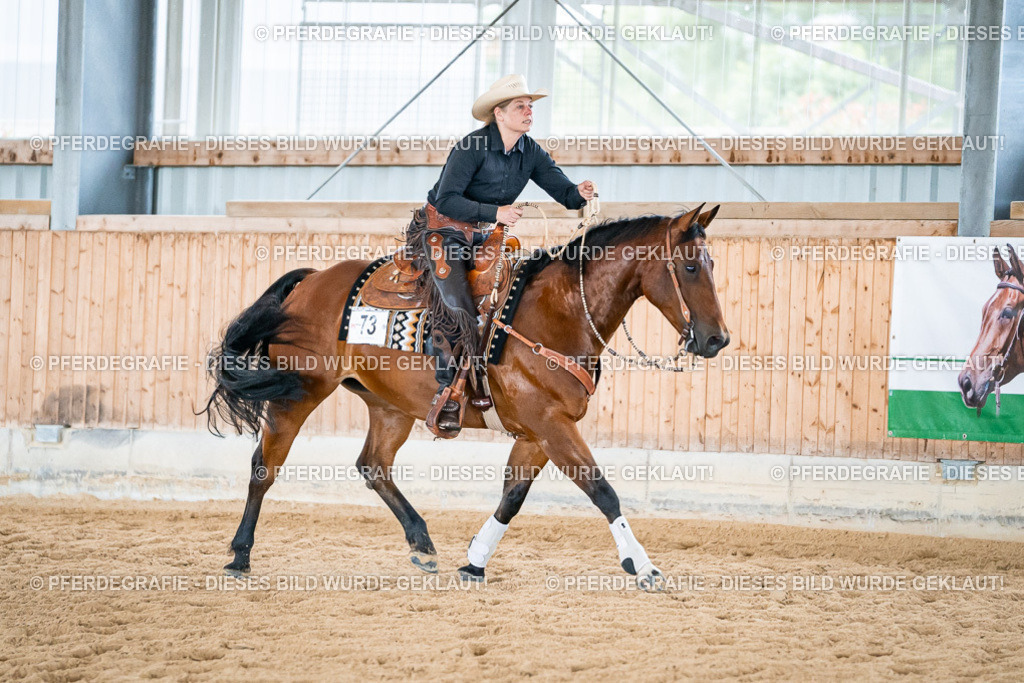 DSC03688 | Pferdegrafie