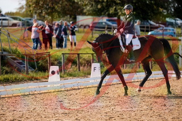 2026_10_03_Siefer-Hof_133642_Z63_97634165 | Professionelle Reitsport-, Turnier- und Eventfotografie von Robert Broda. Galerien mit ausgewählten und bearbeiteten Bildern direkt online ansehen und bestellen.