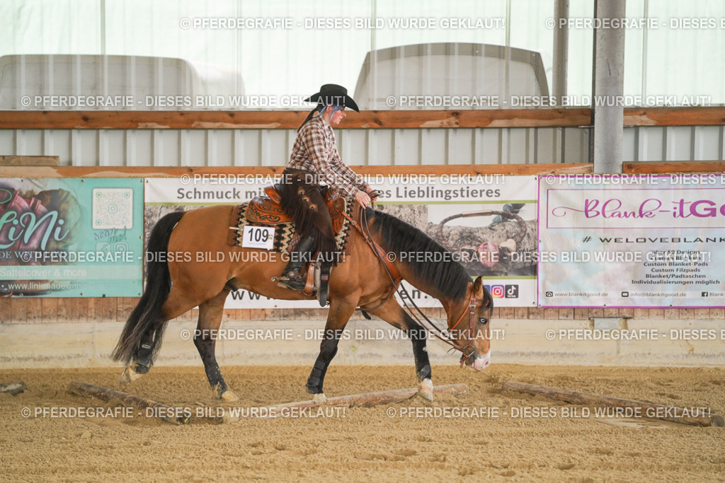 DSC07006 | Pferdegrafie