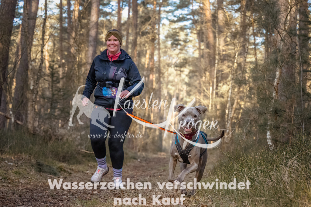 0830_ZZ91473-Bearbeitet | kk-dogfotos
