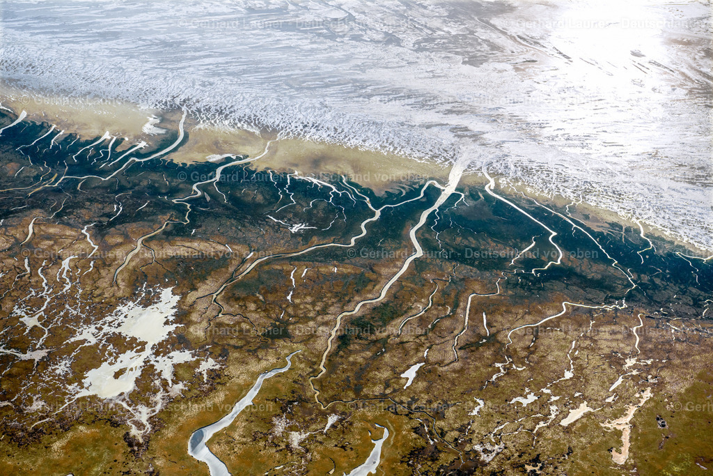 4044346 | winterliche Insellandschaft am Ostende vonSpiekeroog Nationalpark Niedersächschisches Wattenmeer