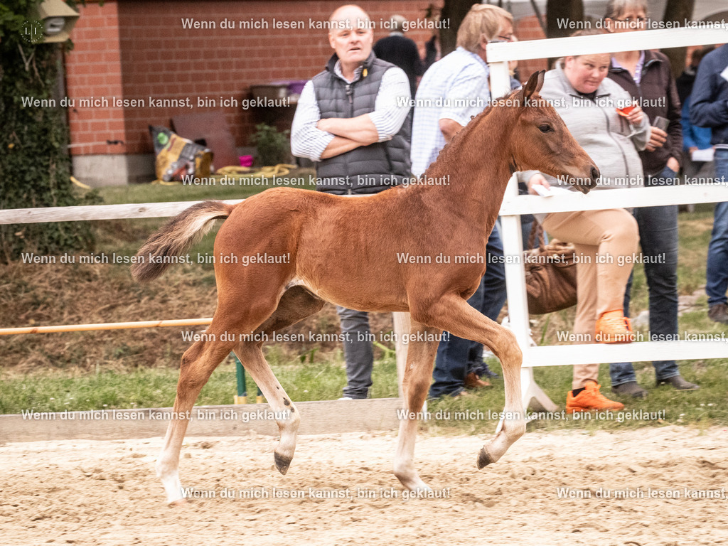 A10I6098 | photographylinaismer - Realisiert mit Pictrs.com