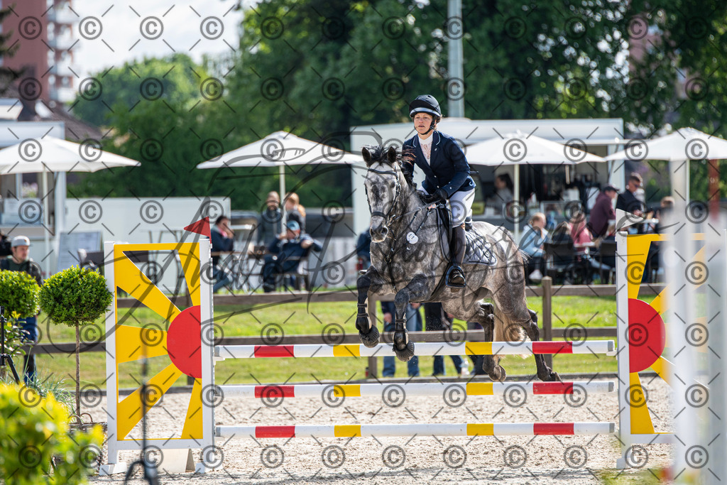 KPT_4719 | andre_photographic