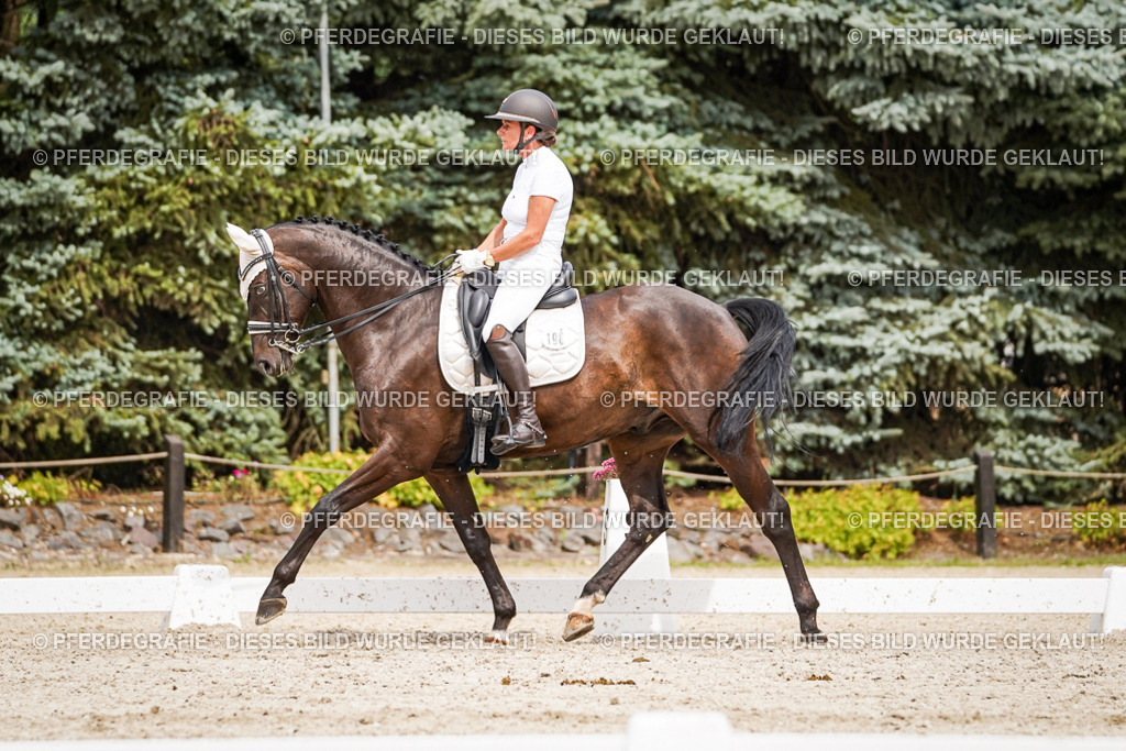 DSC06321 | Pferdegrafie