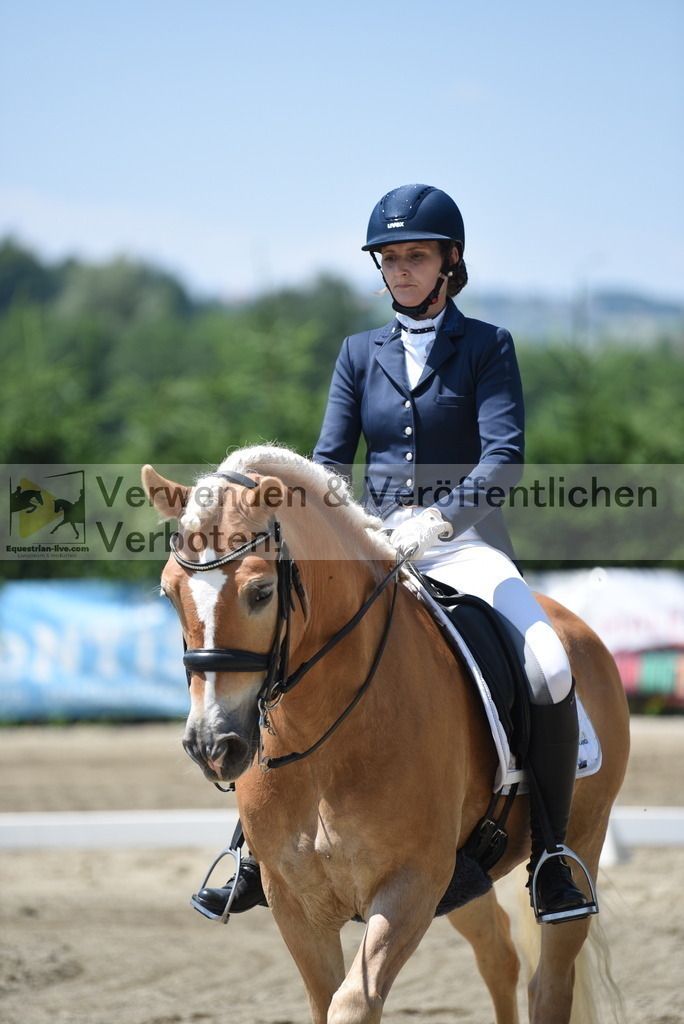DSC_1031 | equestrian-live-com