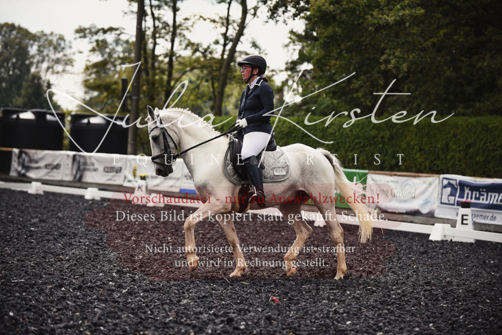 DSC_3908 | Pferde- und Turnierfotografie in Westsachsen. Pferdeportraits, Auftragszeichnungen und intuitive Kunst.