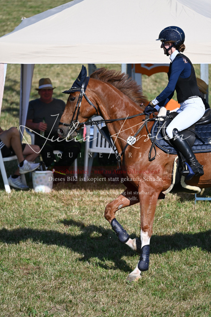 DSC_2315 | Pferde- und Turnierfotografie in Westsachsen. Pferdeportraits, Auftragszeichnungen und intuitive Kunst.