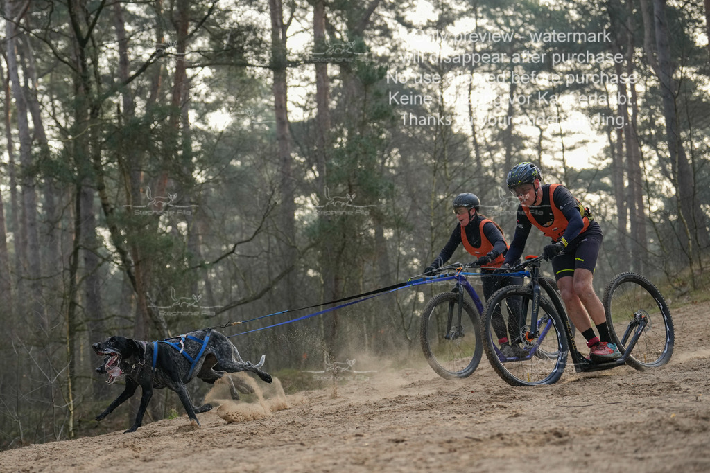 Scooter1-65 | stephaniefillaphotographie - Realisiert mit Pictrs.com