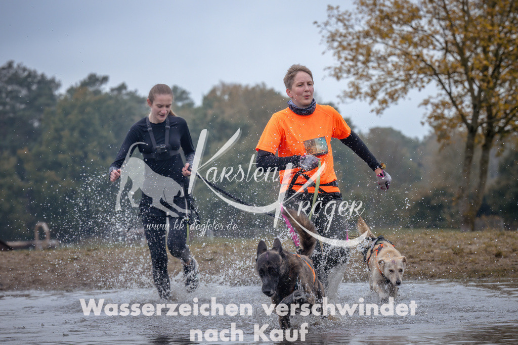 1201_ZZ97891 | kk-dogfotos