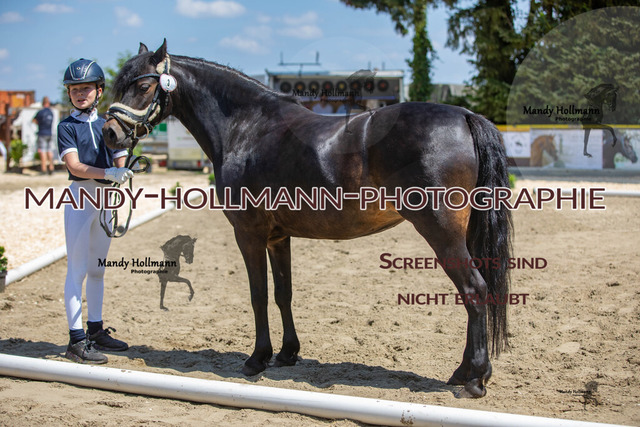IMG_2742 | mandyhollmannphotographie